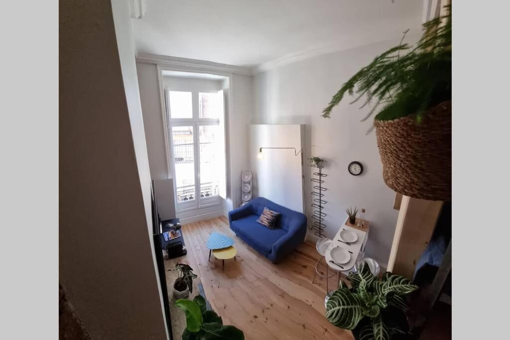 T1 Bis Cosy- Hypercentre - Comfort - Tv - Wifi Toulouse Extérieur photo